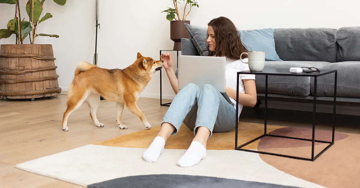 7 Best Flooring Materials for 2025