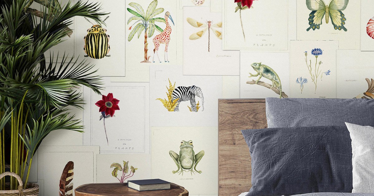 educational wallpaper for kids
