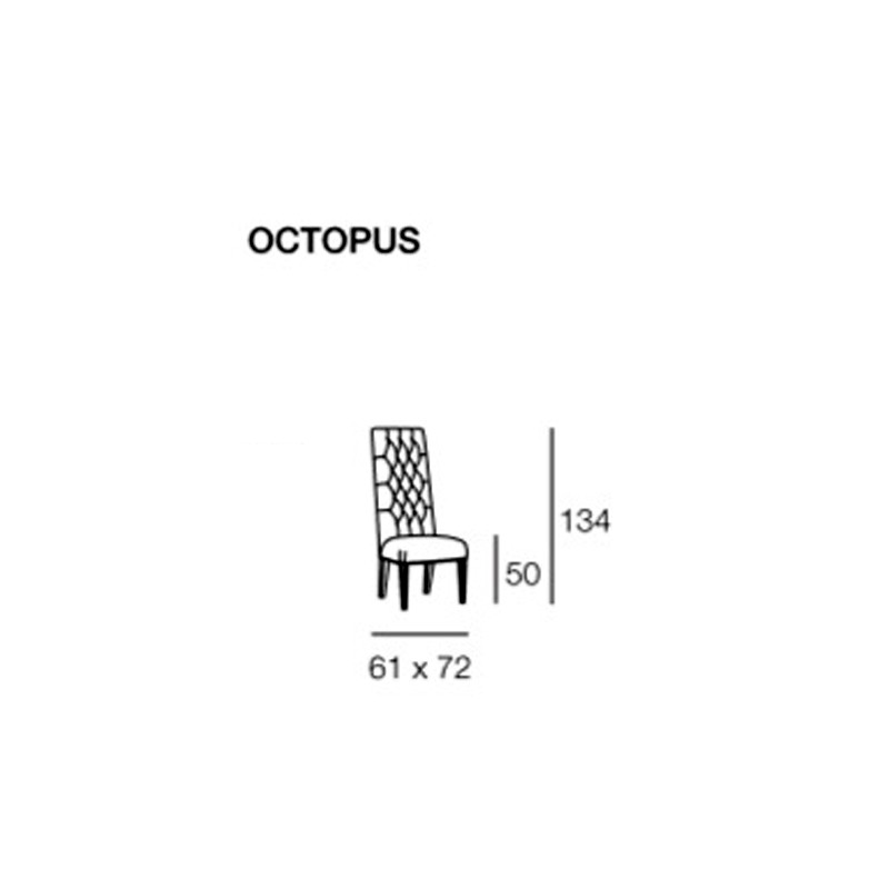 Octopus  - Latorre 