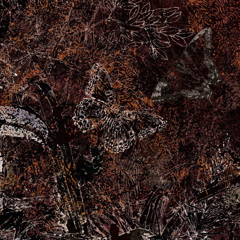 Nocturno Wallpepper