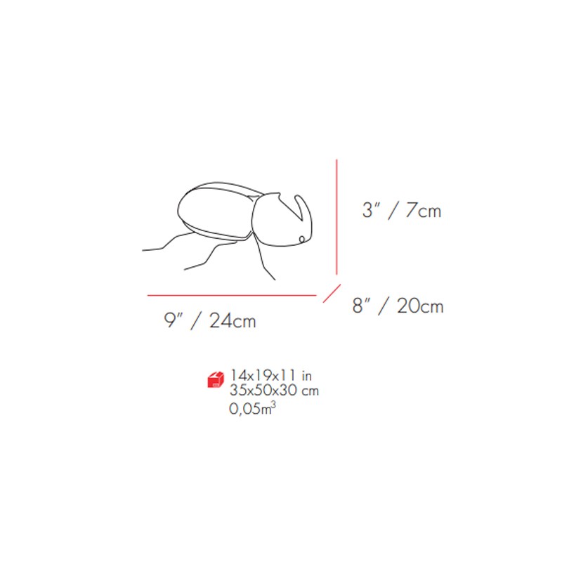 Rhinoceros Beetle Fauna  - Mambo 