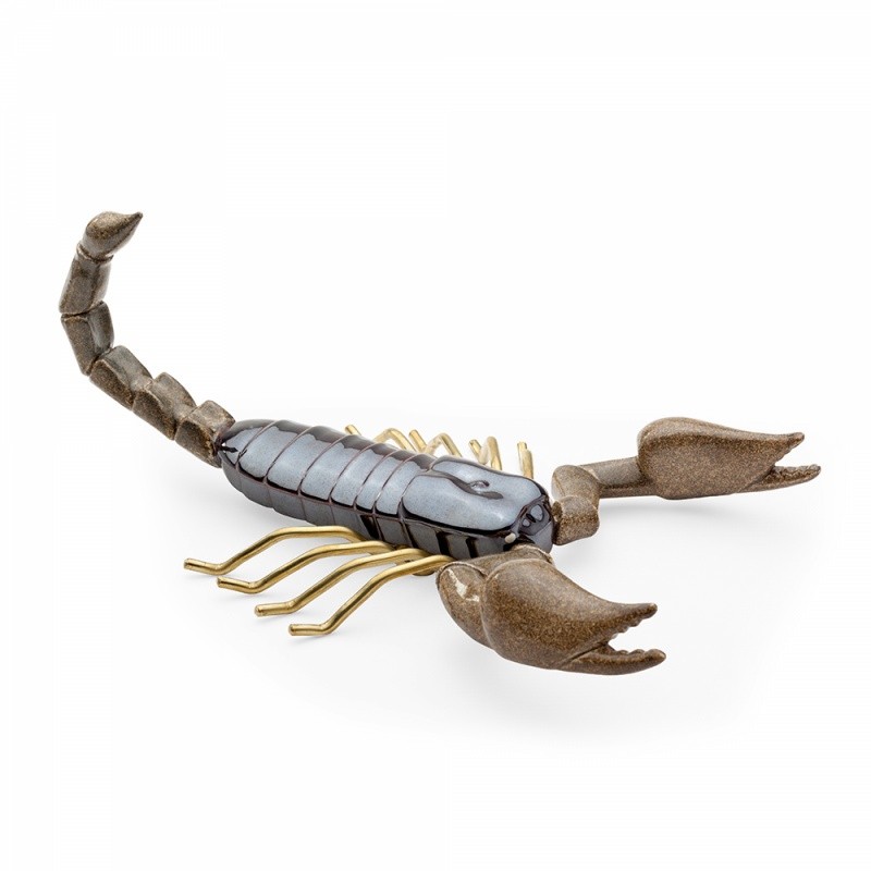 Scorpion Fauna Mambo