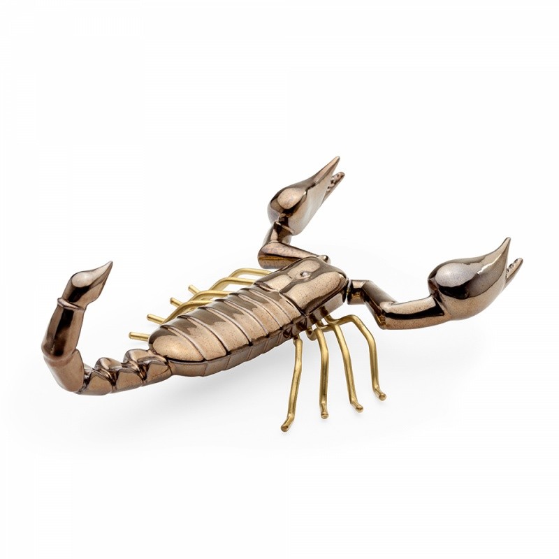Scorpion Fauna  - Mambo 