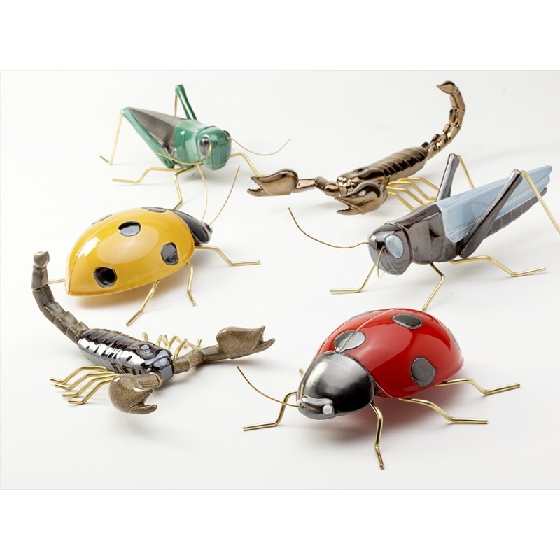 Scorpion Fauna  - Mambo 