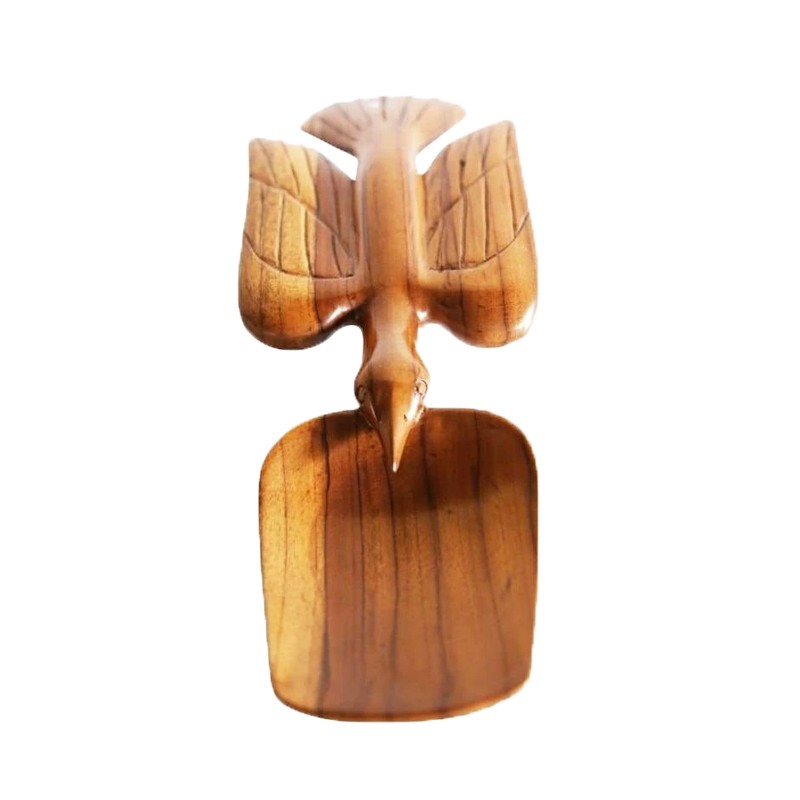 West African Hand Carved Wildlife Parrot House of Avana