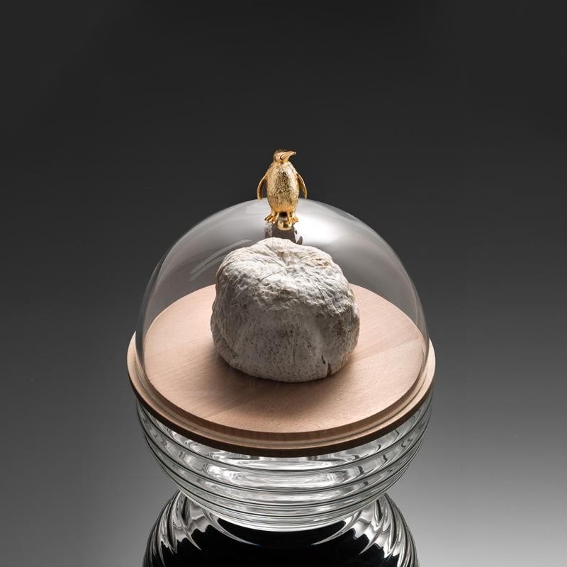 VERTIGO DOME CLEAR WITH METAL PENGUIN KNOB IVV