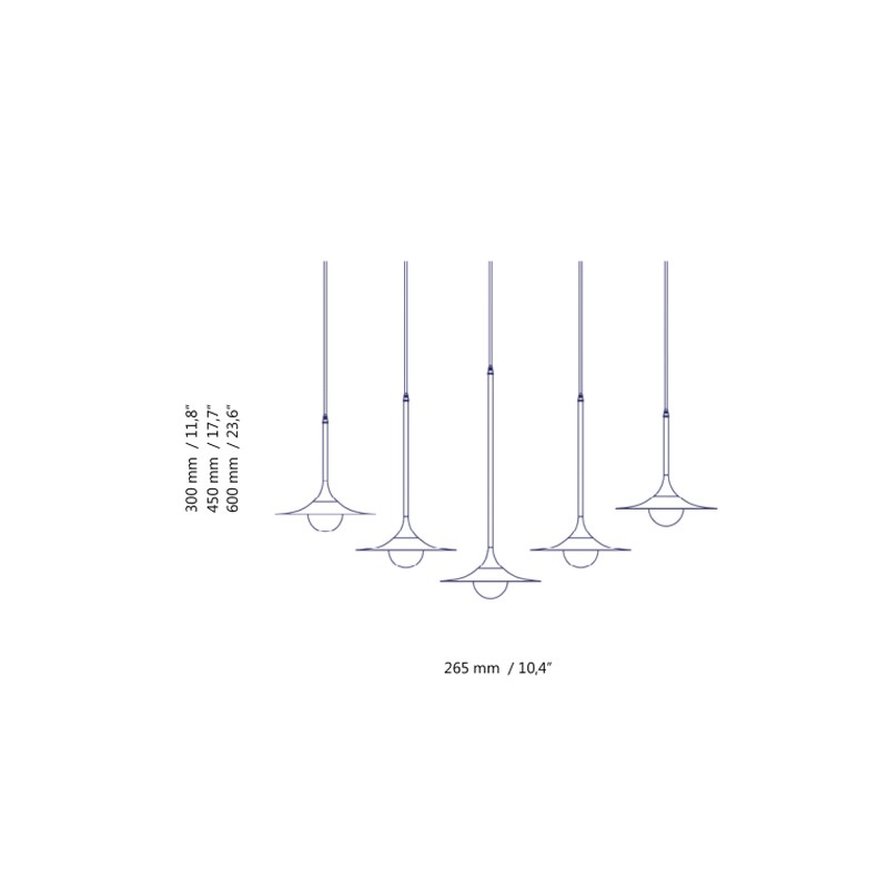 Bullarum SS-5 DISC  - Intueri Light 
