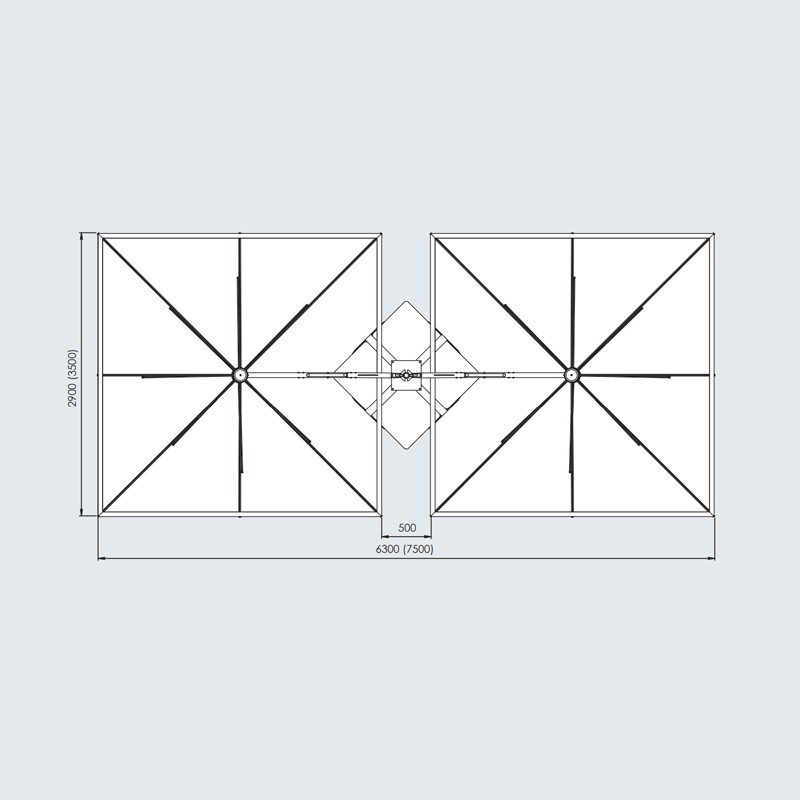 Dual T Carbon Starwhite  - Scolaro 