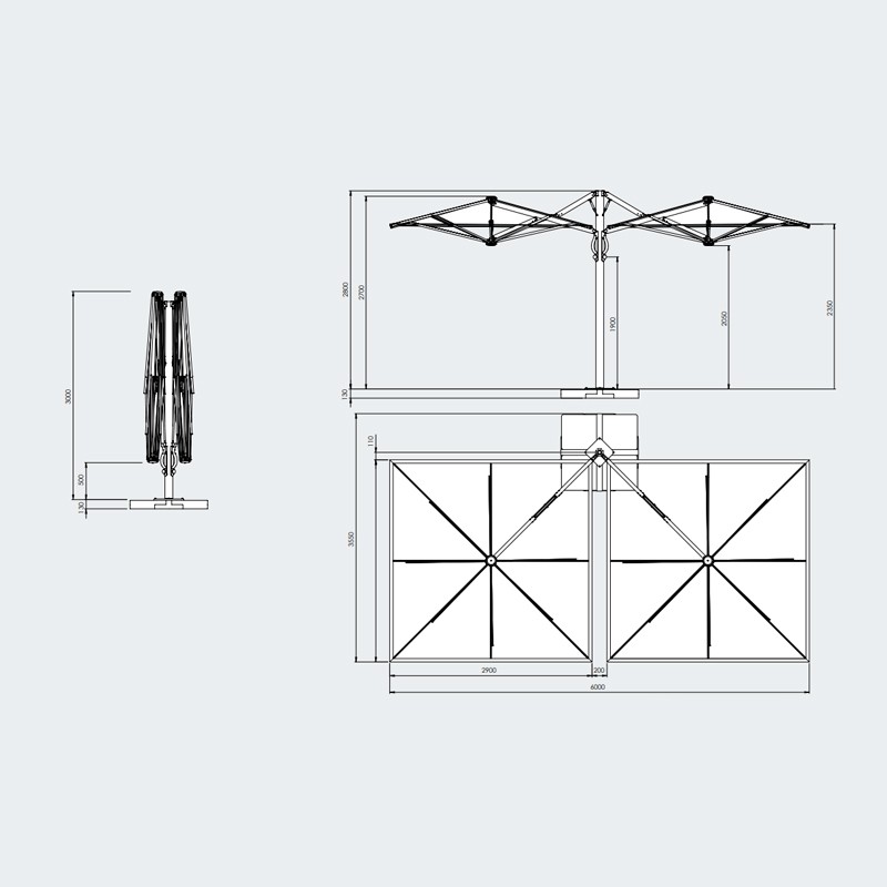 Dual V Carbon Starwhite  - Scolaro 