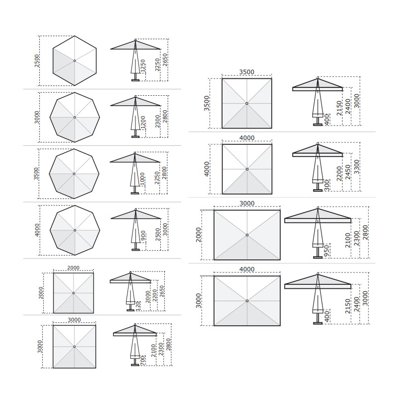 Palladio Standard  - Scolaro 