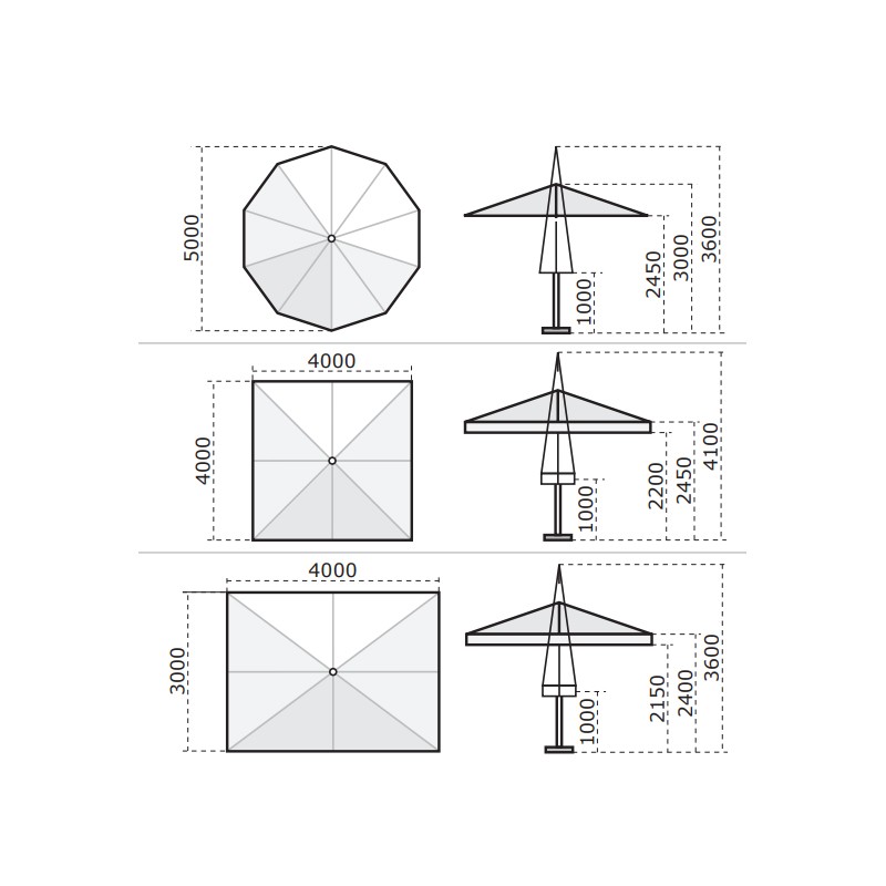 Palladio Telescopic  - Scolaro 