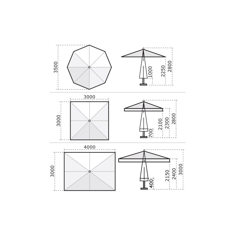 Rimini Standard  - Scolaro 