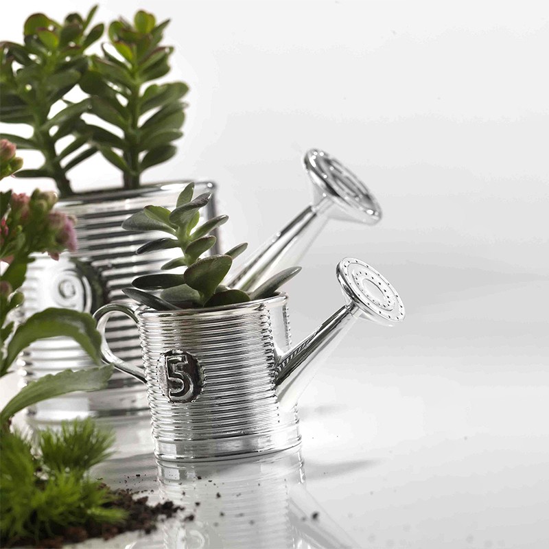 Vase Natura Giardino Watering Can Argenesi