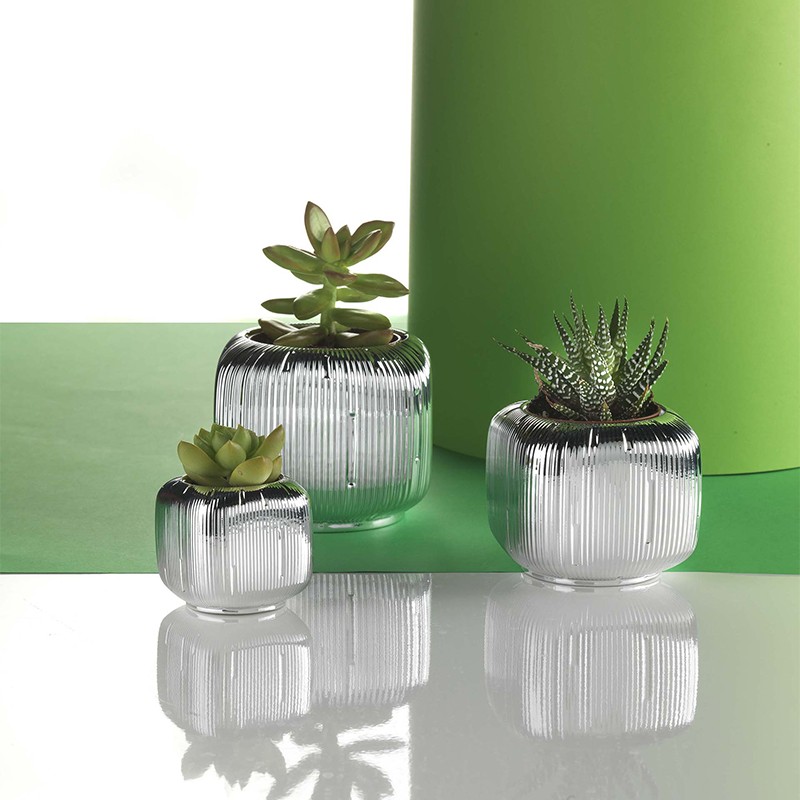 Vase Natura Svasata Argenesi