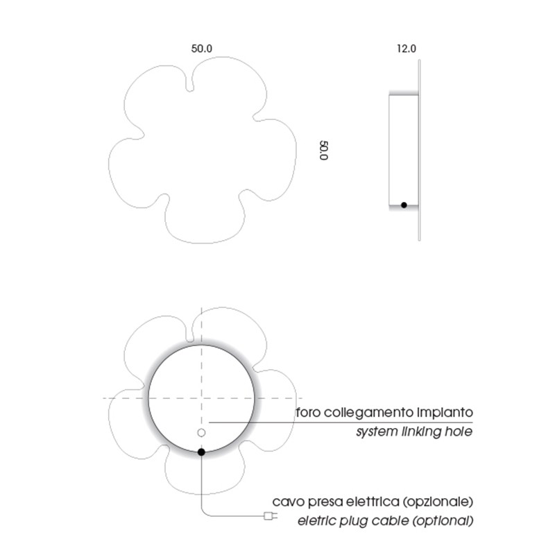 Daisy  - mg12 
