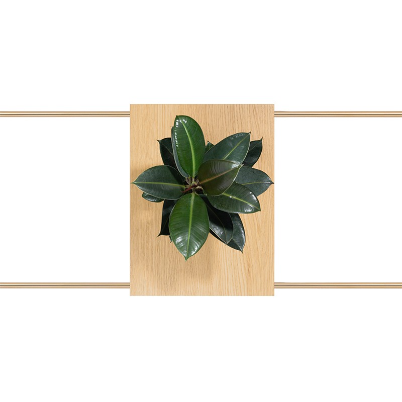 Benjamin console table  - Marqqa 