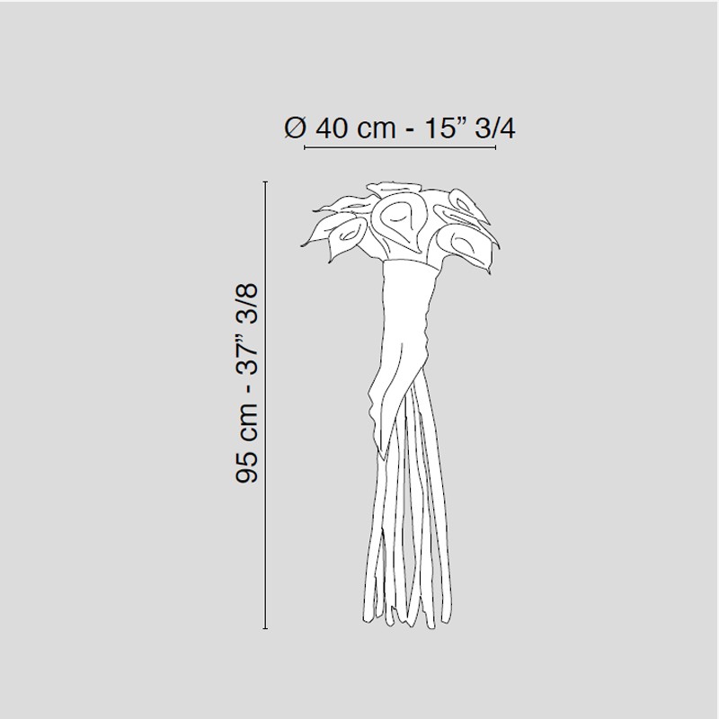 Big Bunch Of Callas  - VG 