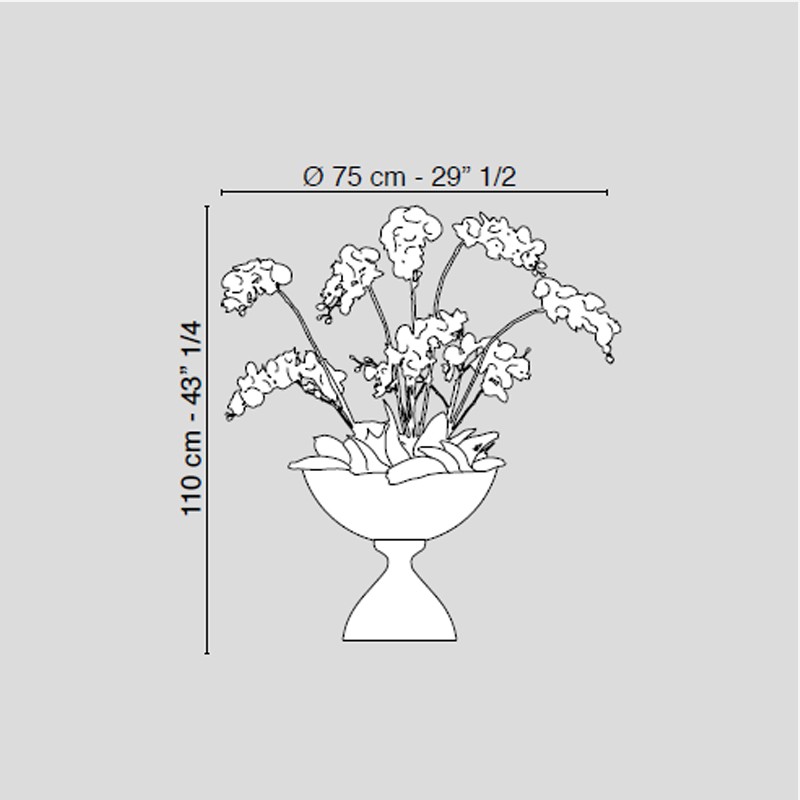 Bowl Eternity Phalenopsis Plant  - VG 