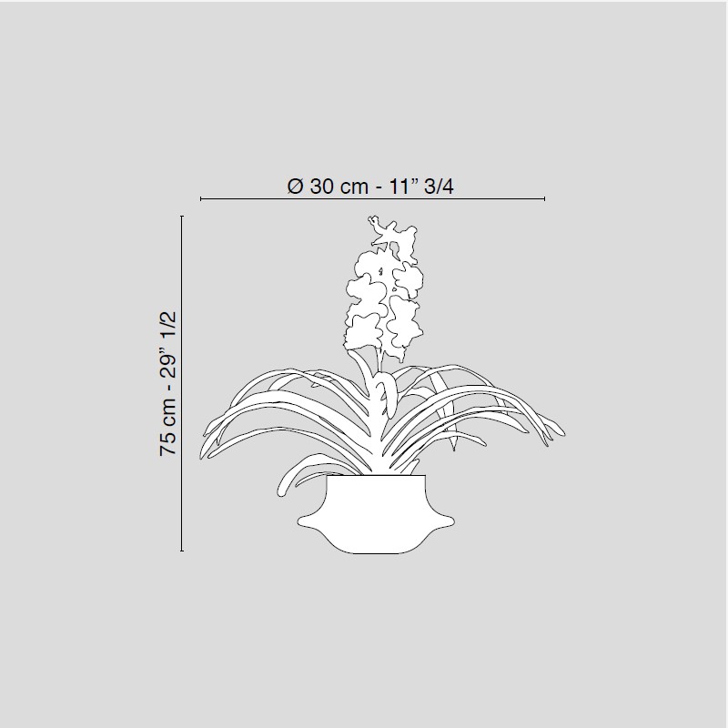 Bowl Vanda  - VG 