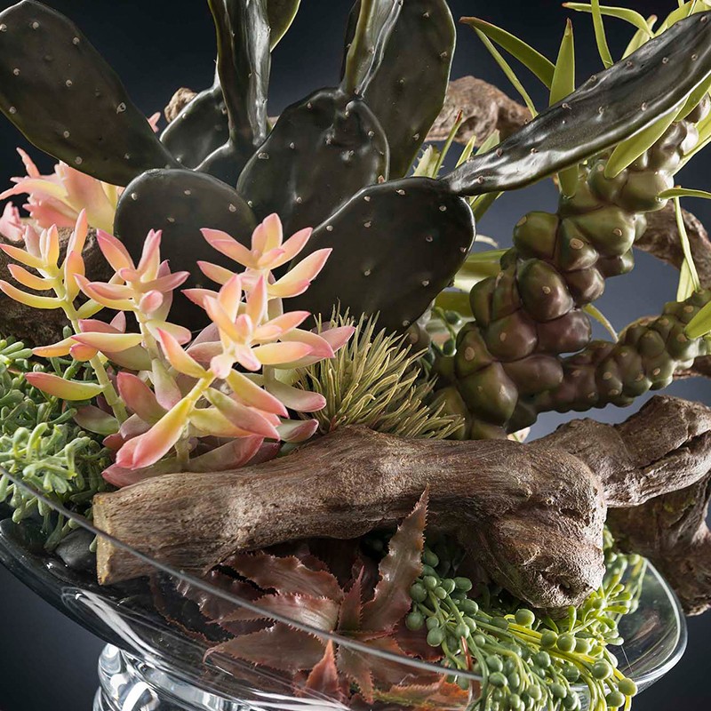 Eternity Bowl Exotic Angelica VG