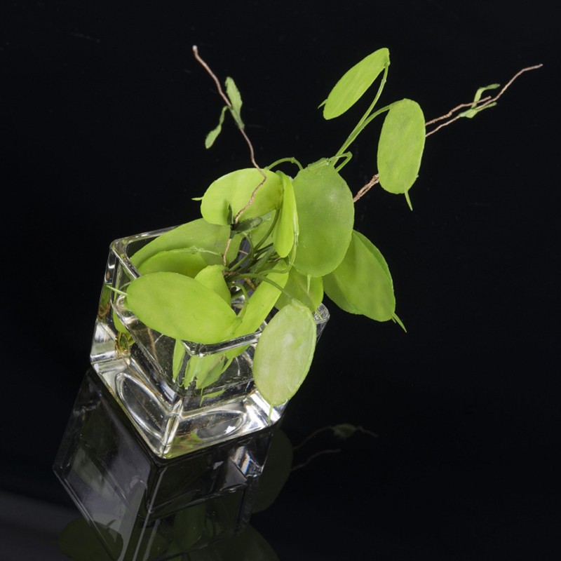 Eternity Cubo Moneta Del Papa VG