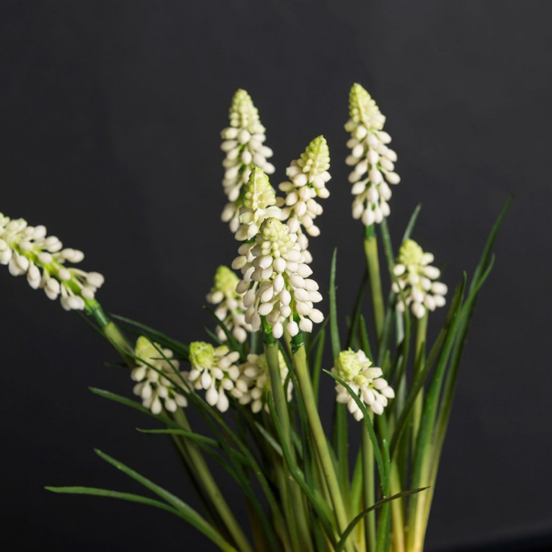 Eternity Cubo Muscari In Cotto VG