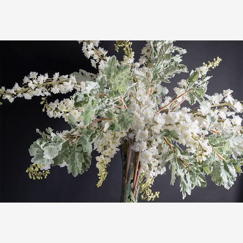 Eternity Ludovica Delphinium  - VG 