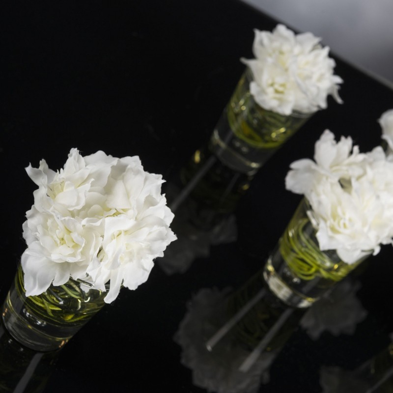 Eternity Mini Delphinium VG