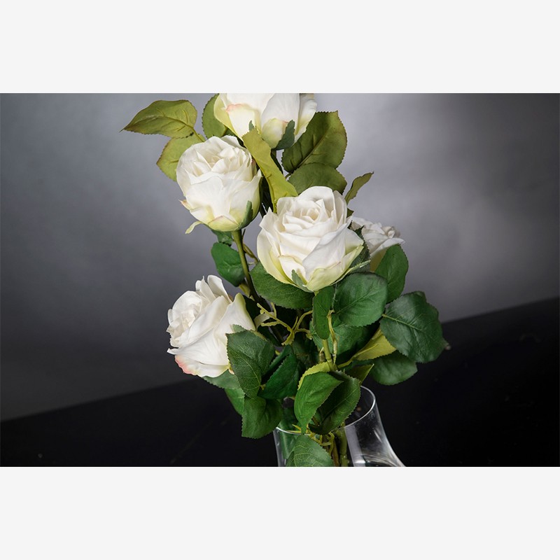 Eternity Minimes Roses VG
