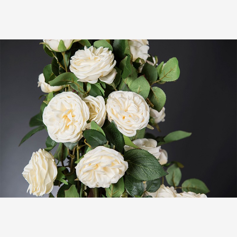 Eternity Penelope Column Roses VG
