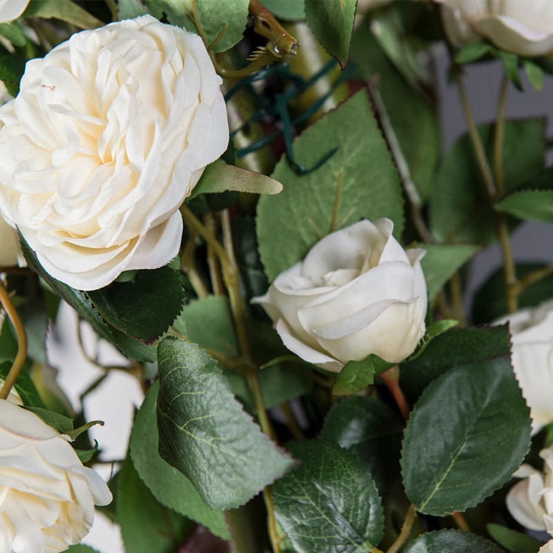 Eternity Penelope Column Roses  - VG 