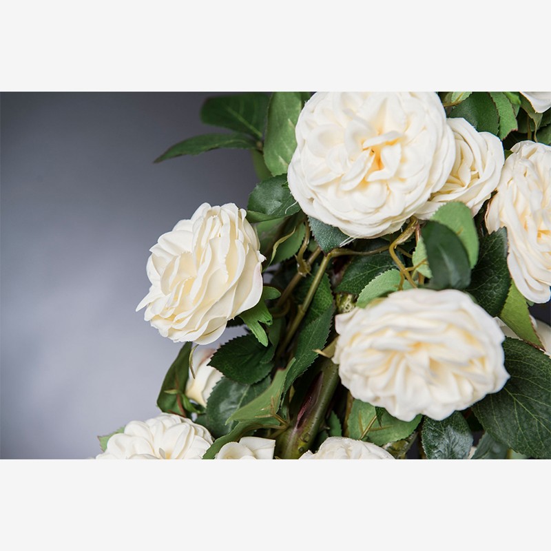Eternity Penelope Column Roses  - VG 