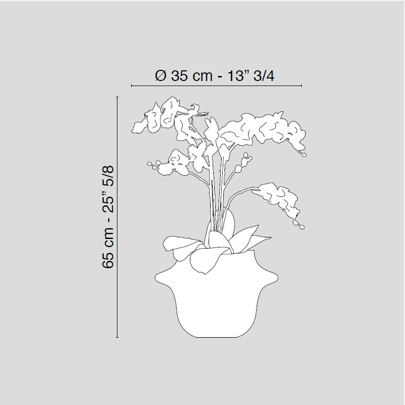 Light Atollo 2 Phalenopsis Medium  - VG 