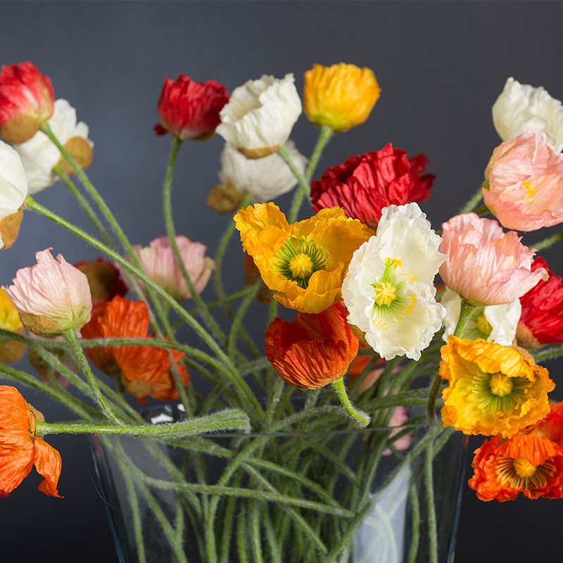 Poppy Trop Set Arrangement VG
