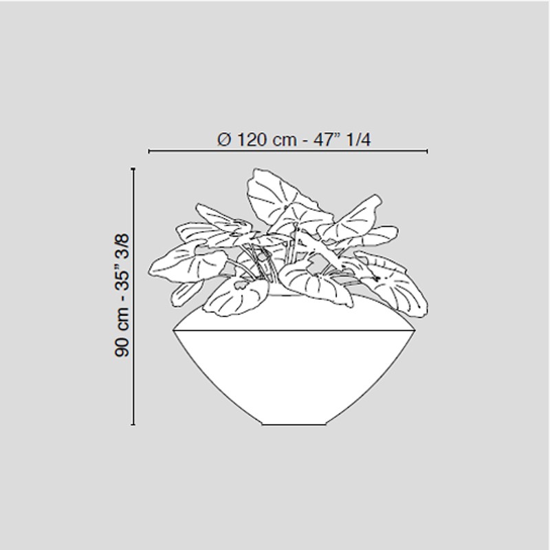 Set Arrangement Sidney  - VG 
