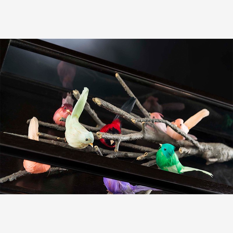 Showcase Birdland  - VG 