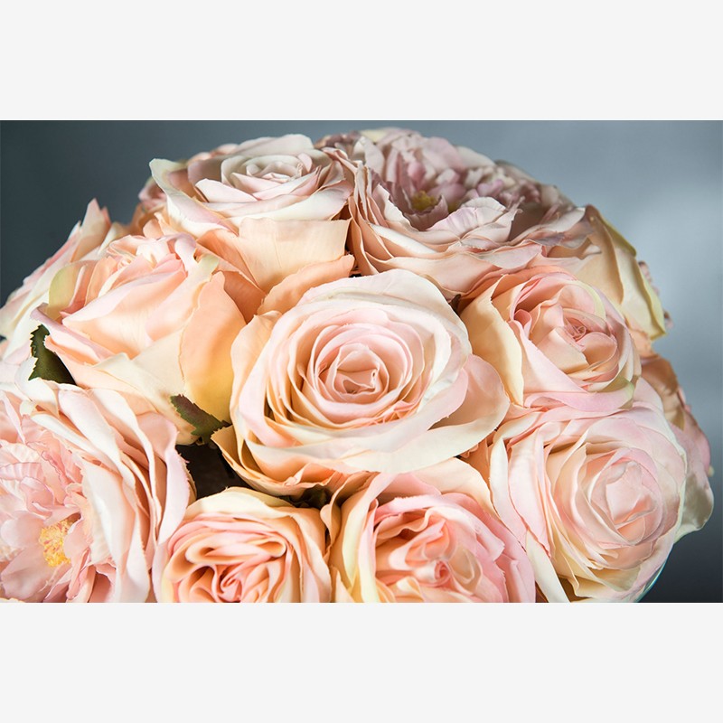 Stand With Rose  - VG 