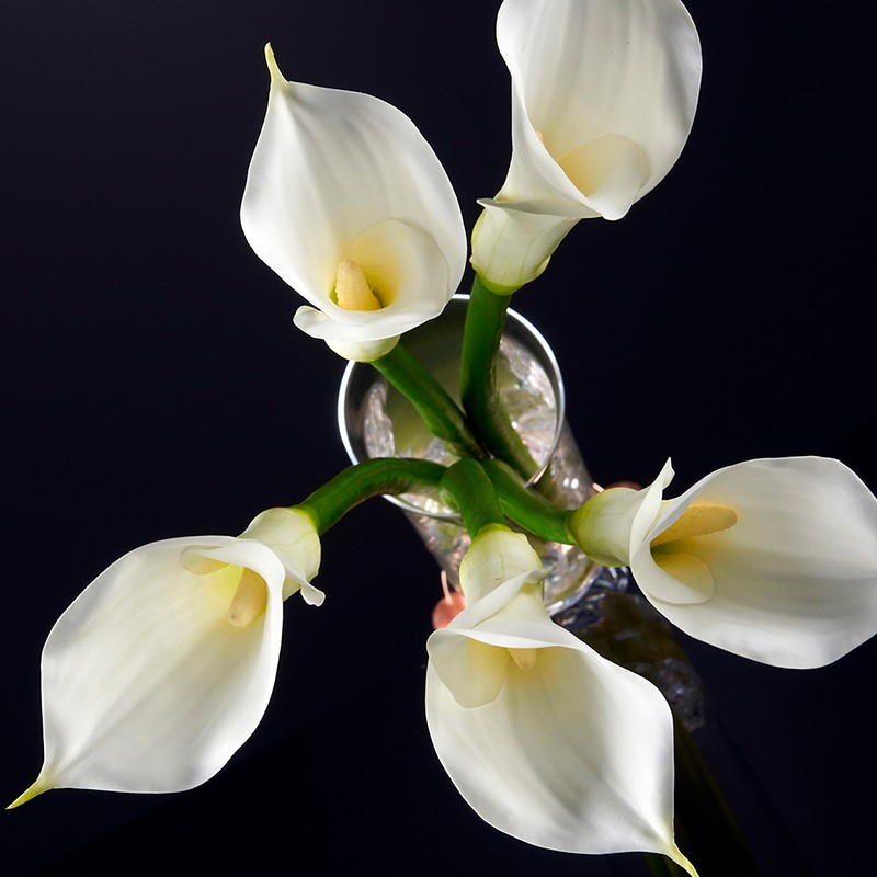 Vase Elegant Calla Small  - VG 