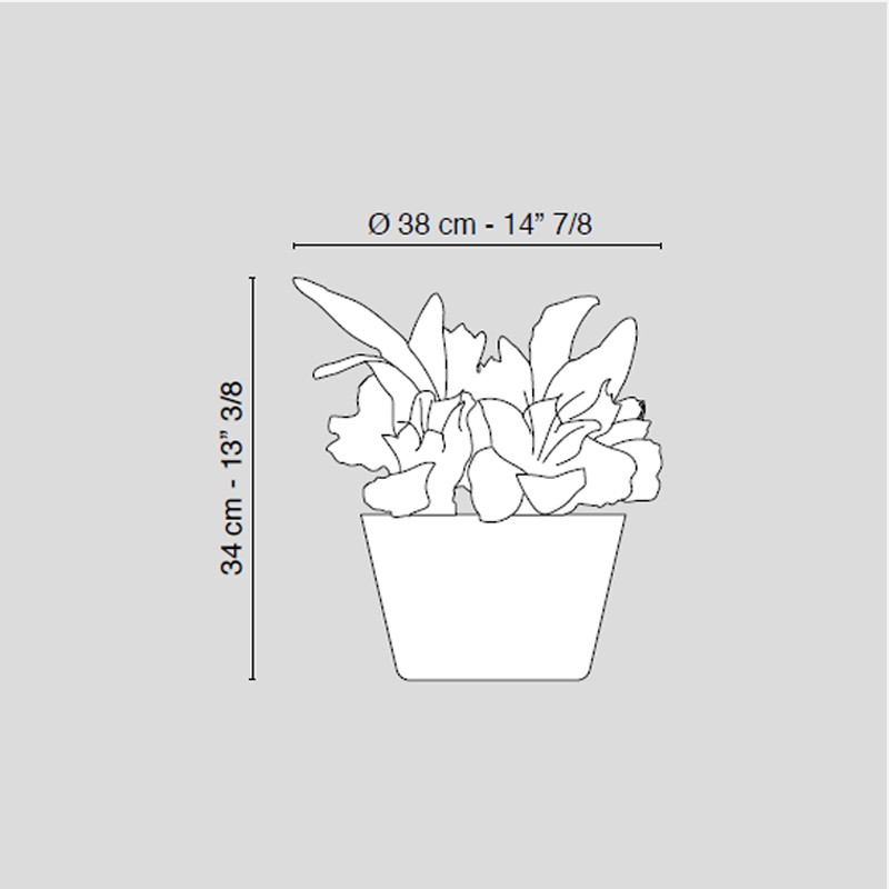 Vase Massy Bulb  - VG 