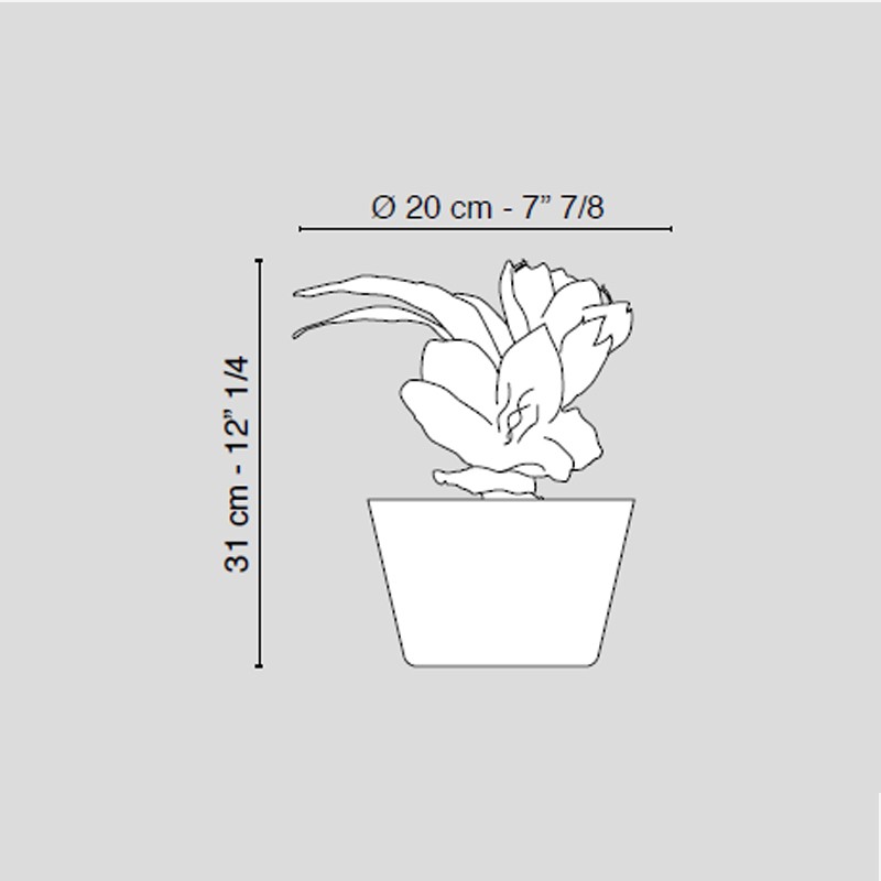 Vase Orly Bulb  - VG 