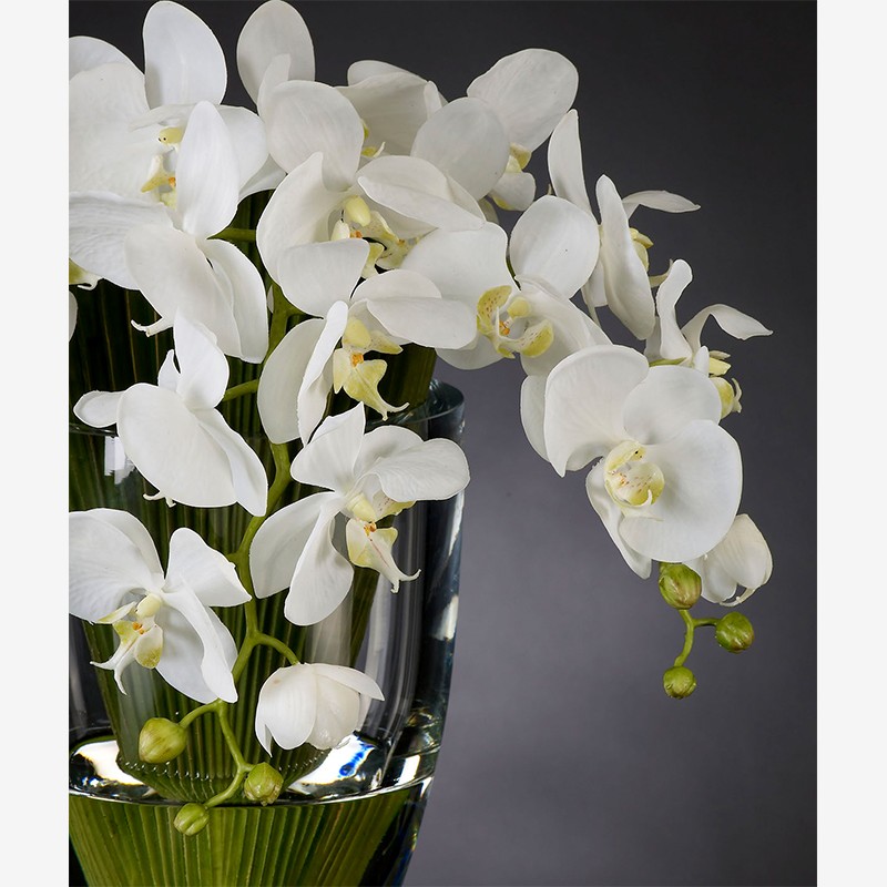 Vase Palma Phalenopsis VG