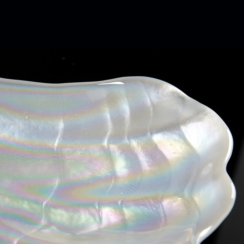 Plate Shell VG
