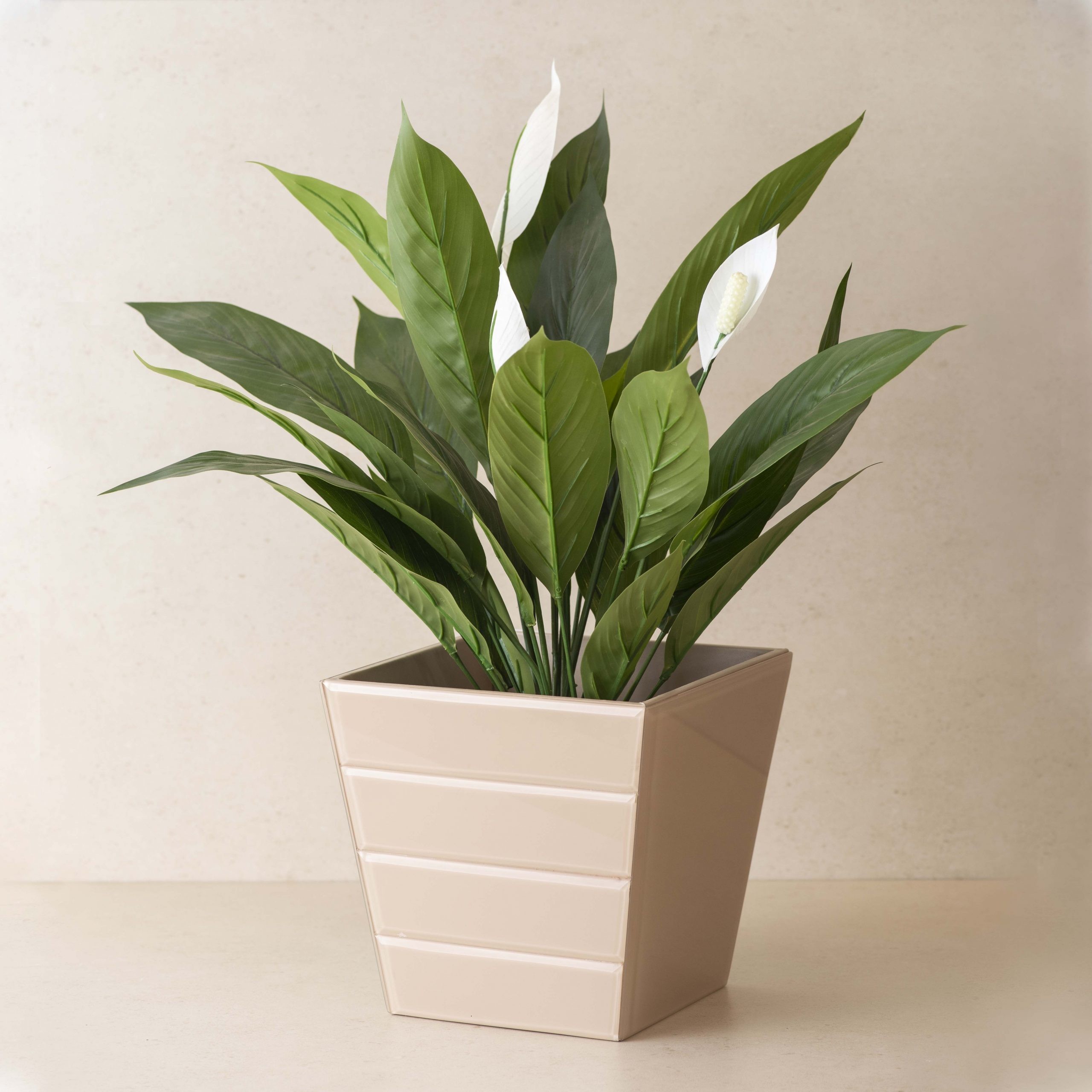 Louis Glass Dustbin Planter Neutral Beige The Decor Remedy