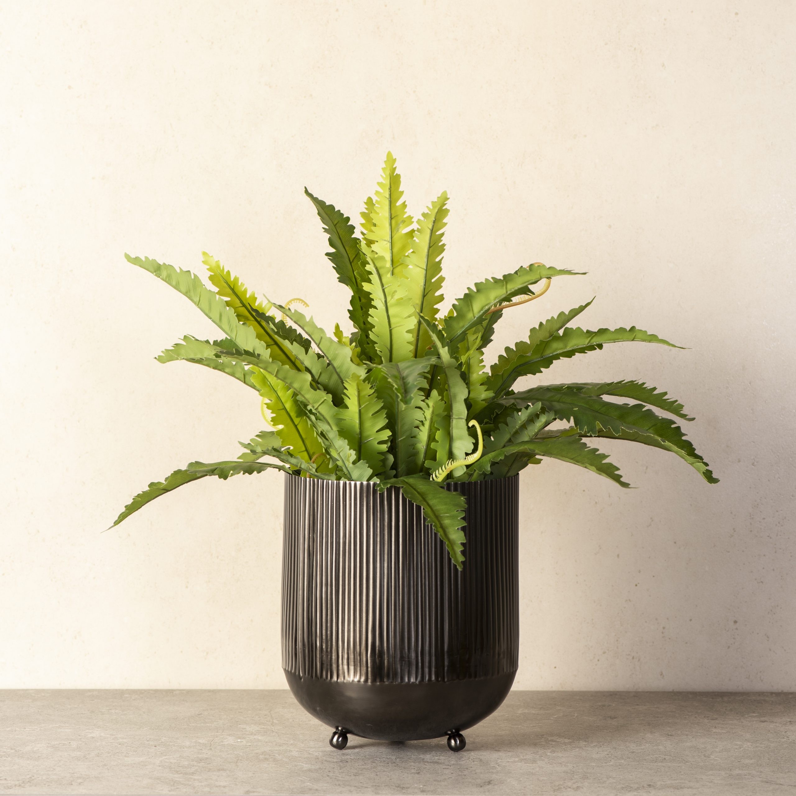 Ripple Cut Brass Dustbin Planter Cosmos Black The Decor Remedy