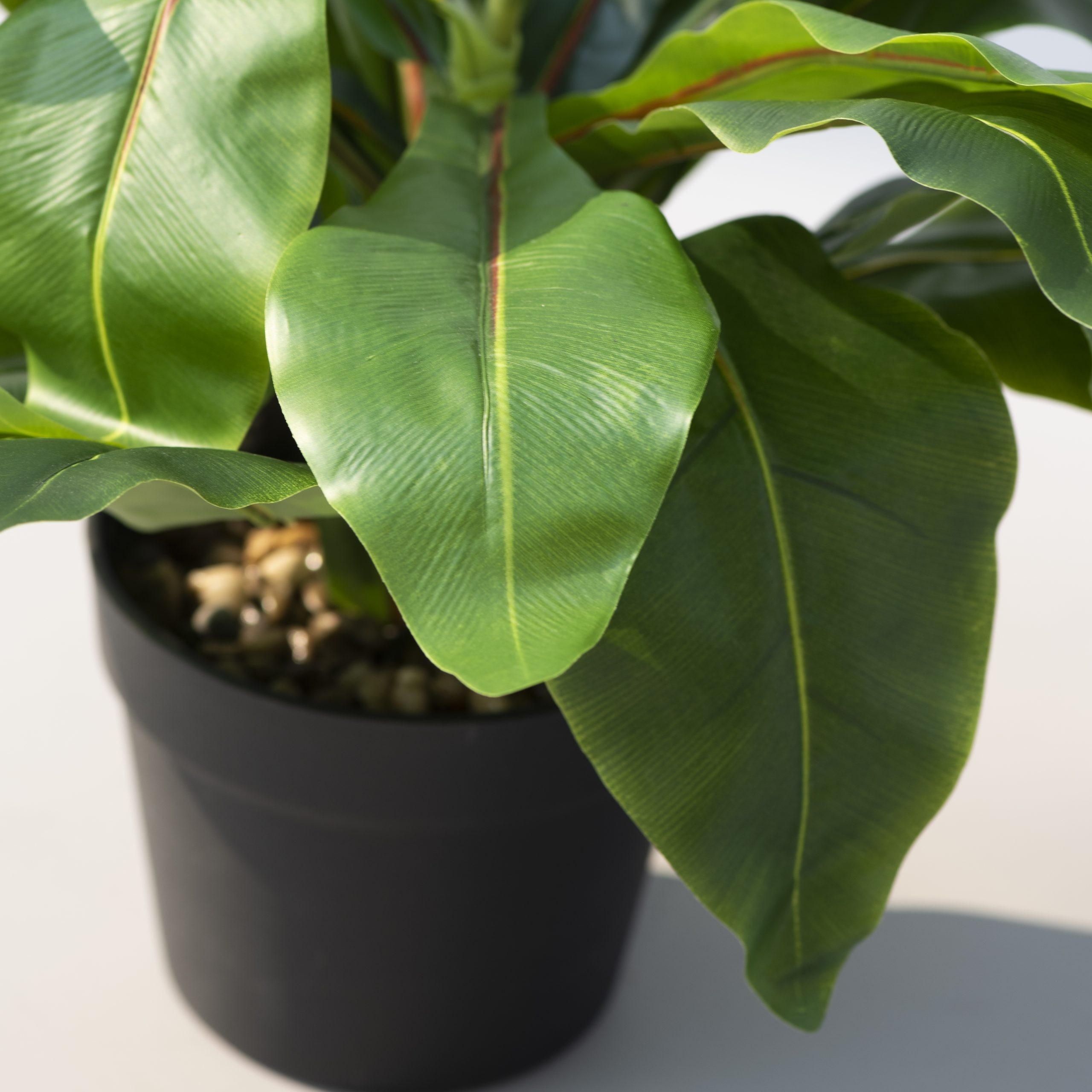 Wide Leaf Birds Nest Fern Artificial Plant The Decor Remedy