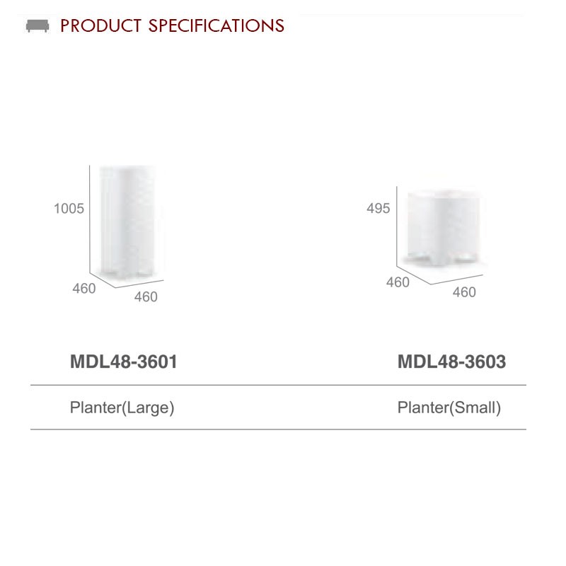 Mdl48-3601 3603  - Mr Dream 