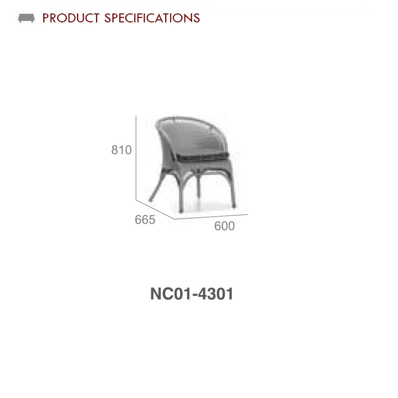 Nc01 4301  - Mr Dream 