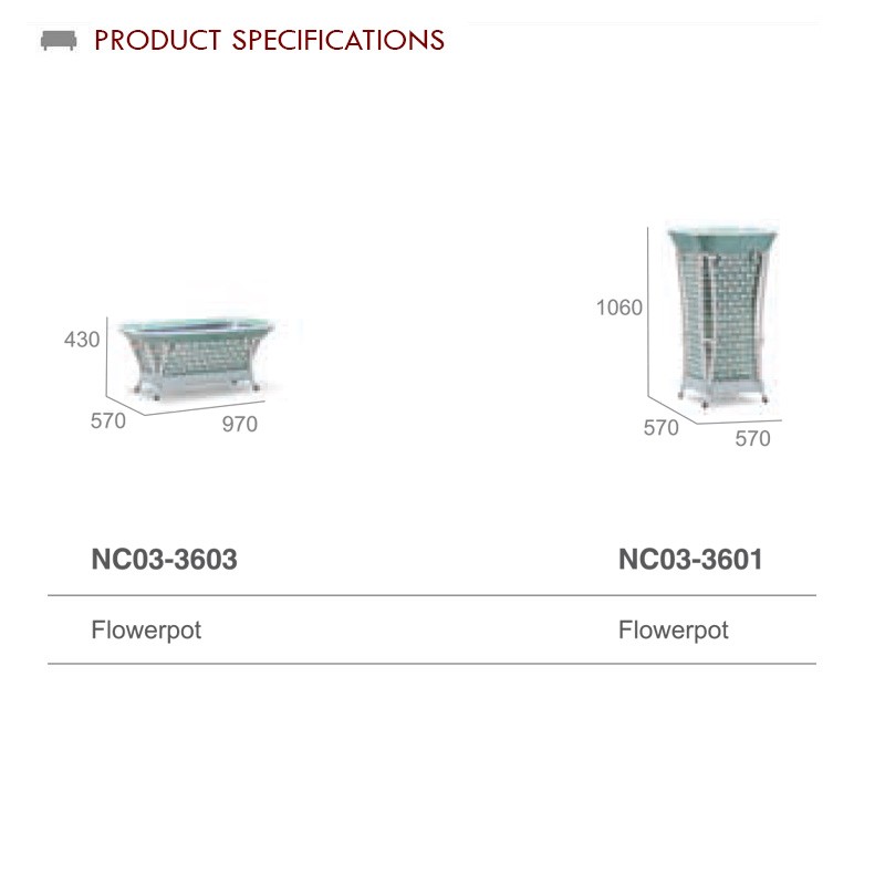 Nc03 3601  - Mr Dream 