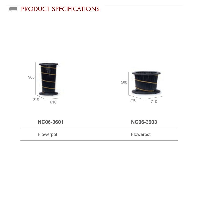 Nc06 3601  - Mr Dream 