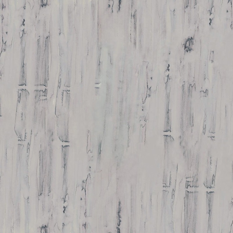 Forest  - Texturae 